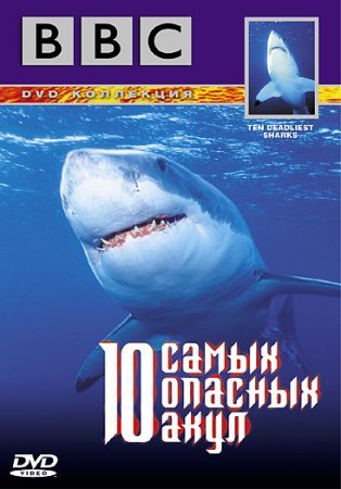 10 самых опасных акул / Ten Deadliest Sharks  (2001) DVDRip