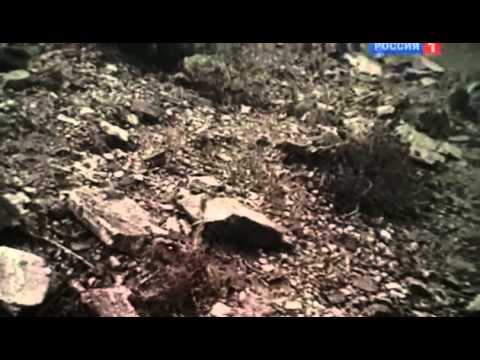 Афганистан. Охота на «Осу»  (2011) SATRip
