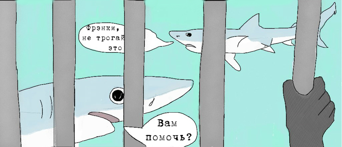 Акула [8х8] (2011) SATRip