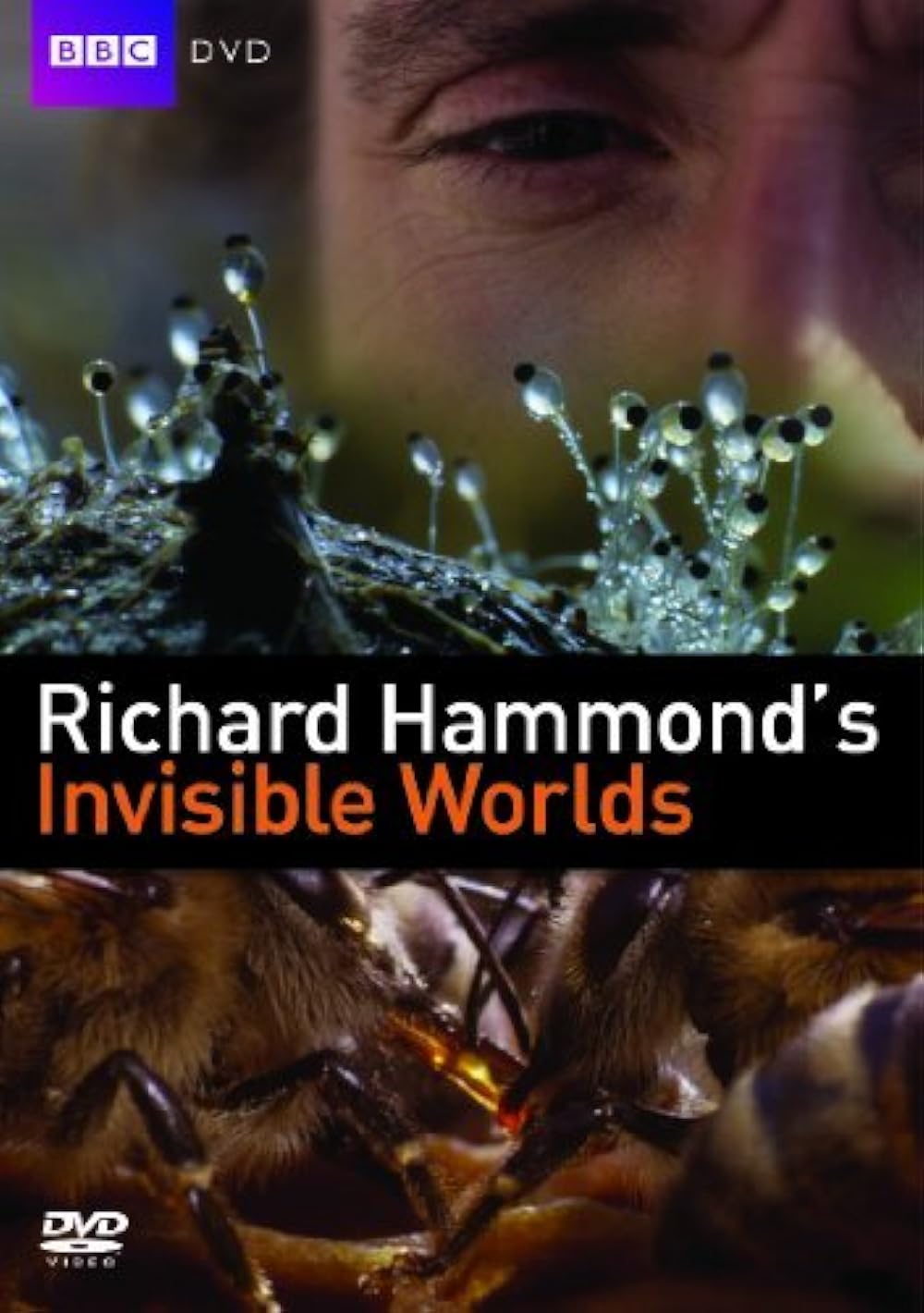 BBC: Невидимые миры / Richard Hammond’s Invisible Worlds (3 серии) (2010) BDRip