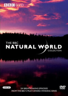 ББС.Мир природы.Невидимый мир. / BBC: The Natural World. Beyond the Naked Eye  (1997) SATRip