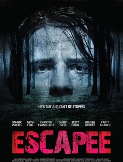 Беглец / Escapee  (2011) DVDRip