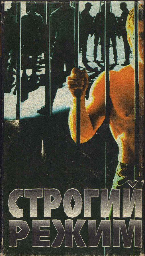 Безопасность гарантируется / Maximum Revenge  (1997) DVDRip