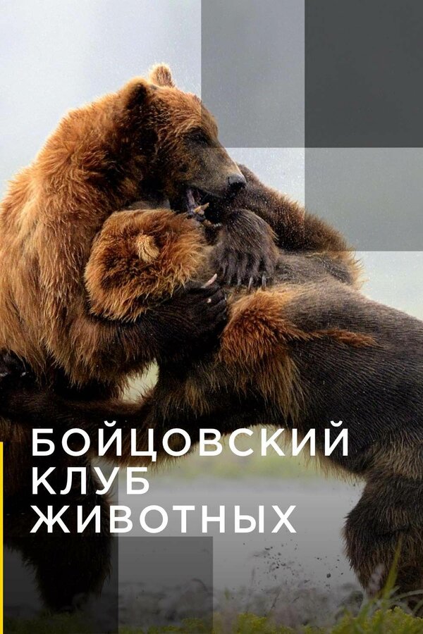 Бойцовский клуб для животных / Animal Fight Club [S01] (2013) HDTVRip