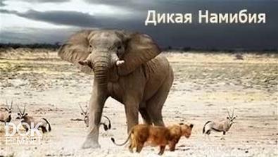 Дикая Намибия / Wild Namibia  (2013) HDTVRip