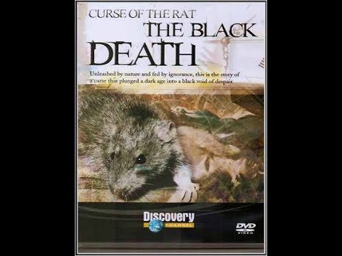 Discovery. Моменты истории. Проклятие крысы / Discovery. Moments in Time. Curse of the Rat  (2003) SATRip