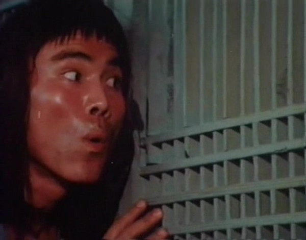 Кулак золотой обезьяны / Fist of Golden Monkey  (1983) DVDRip
