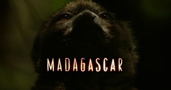 Мадагаскар. Земля, где эволюция шла своим путём / Madagascar. The land where evolution ran wild  (2011) HDRip