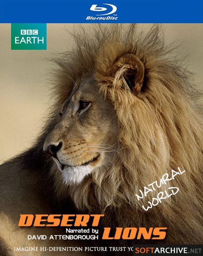 Мир природы: Львы пустыни / Natural World: Desert Lions  (2007) BDRip