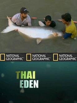 National Geographic : Рыбы-чудовища: Таиландский рай / Monster fish: Thai Eden  (2010) HDTVRip
