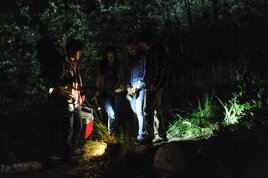 Ночной огонёк / Nightlight  (2015) WEB-DLRip/ ЛО