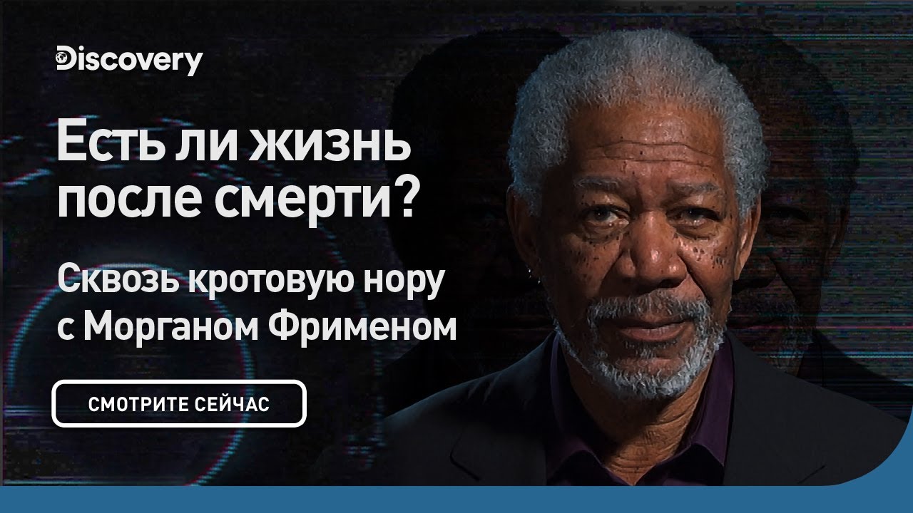 Обманутые наукой. Жизнь после смерти  (2012) TVRip