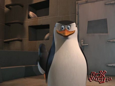 Пингвины из Мадагаскара / The Penguins of Madagascar [сезон 01](1 — 52 из 52) (2008) HDRip