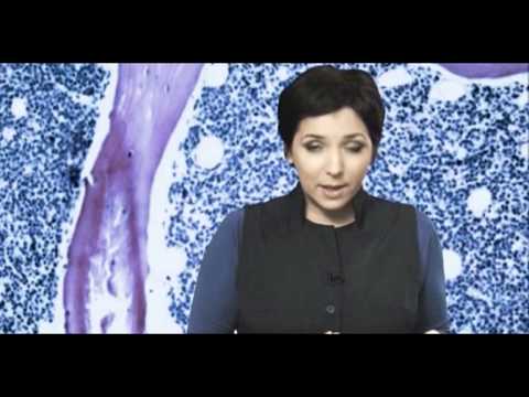 Победить рак (3 серия)  (2012) SATRip