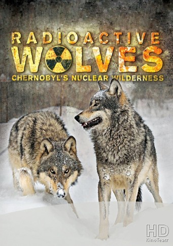 Радиоактивные волки Чернобыля / Radioactive WOLVES  (2011) SATRip