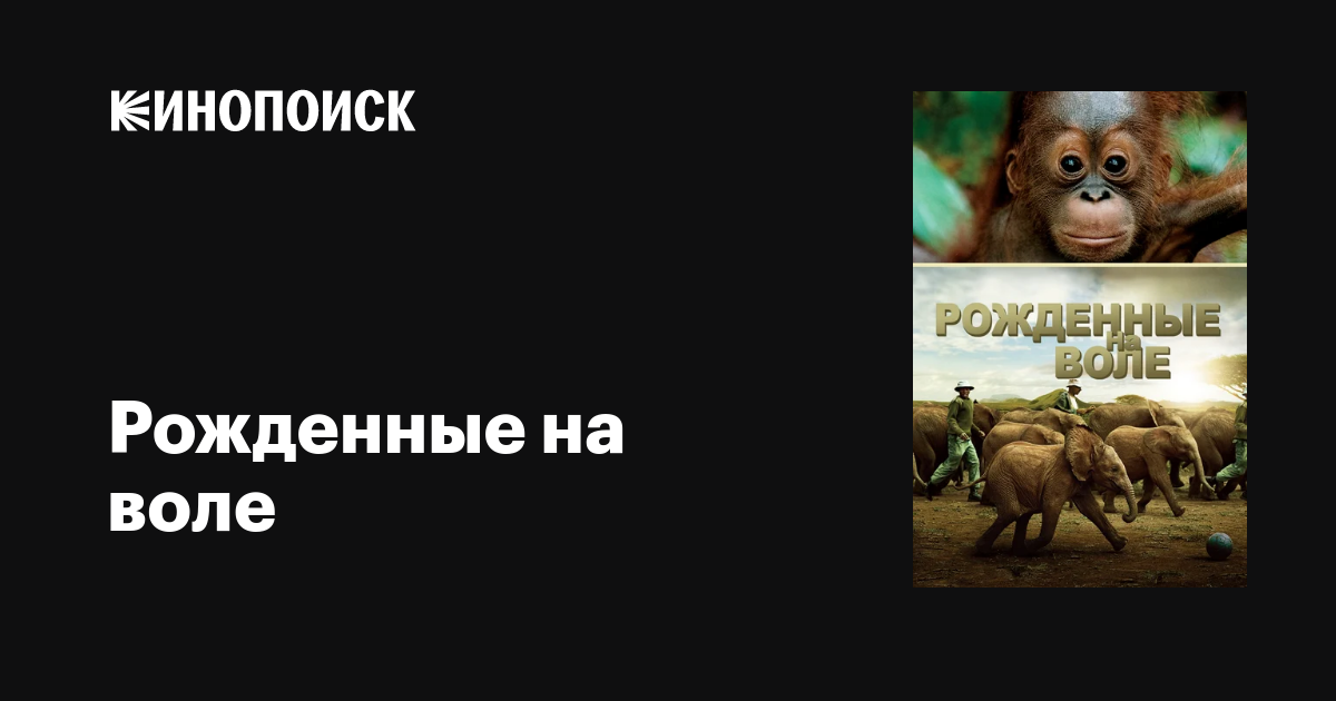 Рожденные на воле / Born to Be Wild  (2011) HDRip