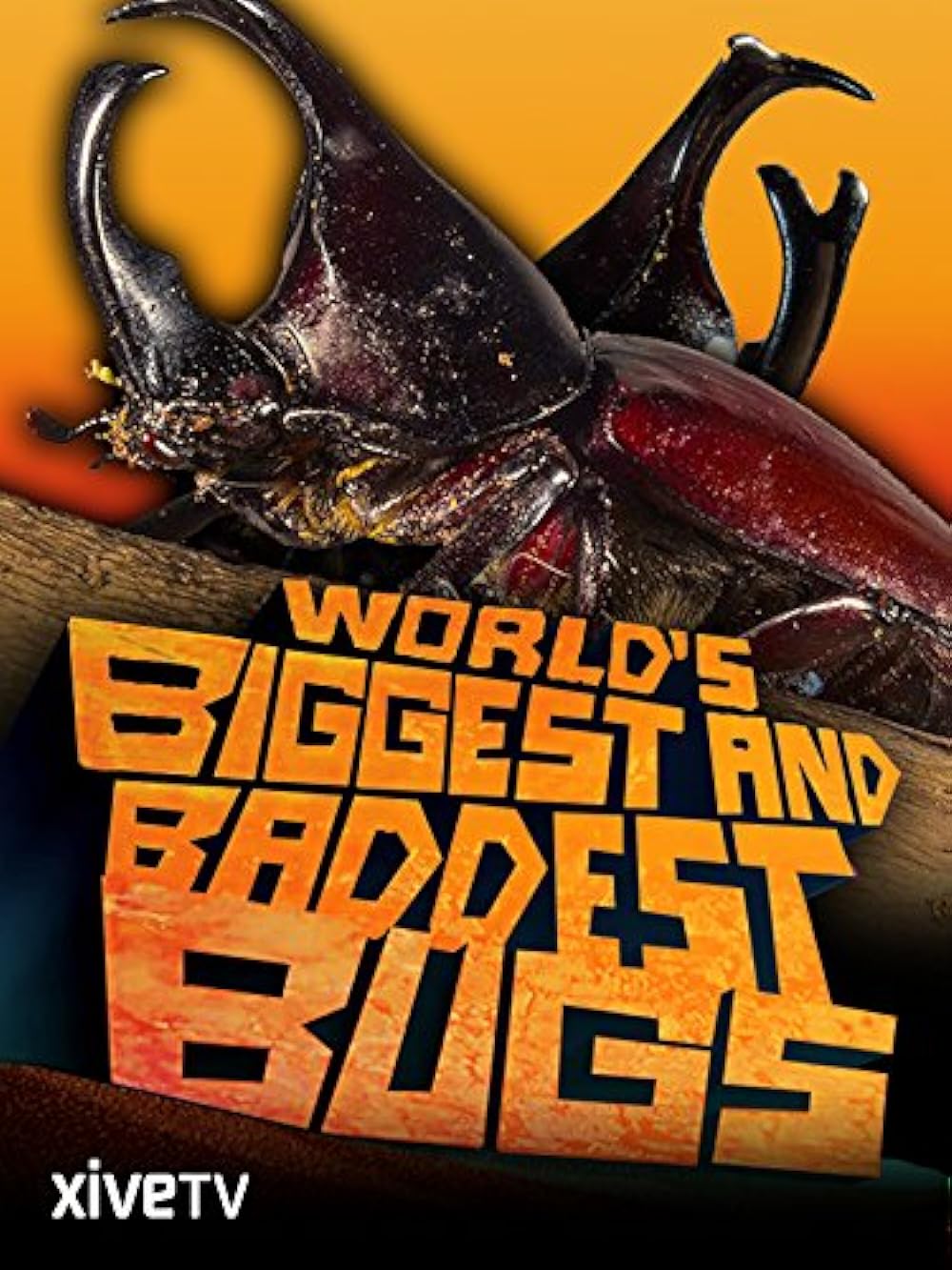 Самые большие и страшные жуки в мире / World’s Biggest and Baddest Bugs  (2009) BDRip