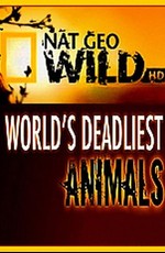 Самые опасные животные мира. Континентальная Азия / World’s Deadliest Animals: Asia. Land of Extremes (2007)