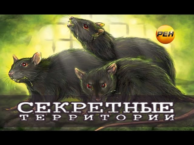 Секретные территории. Крысы. Подземный разум  (2011) SATRip