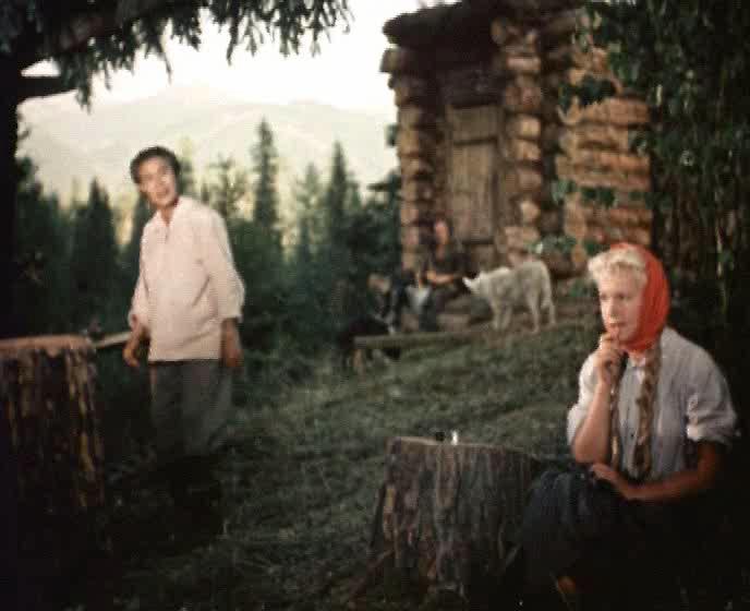 Случай в тайге  (1953) DVDRip