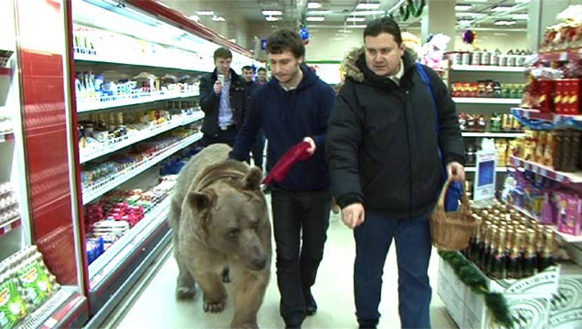Среда обитания. Не мясом единым  (2012) SATRip