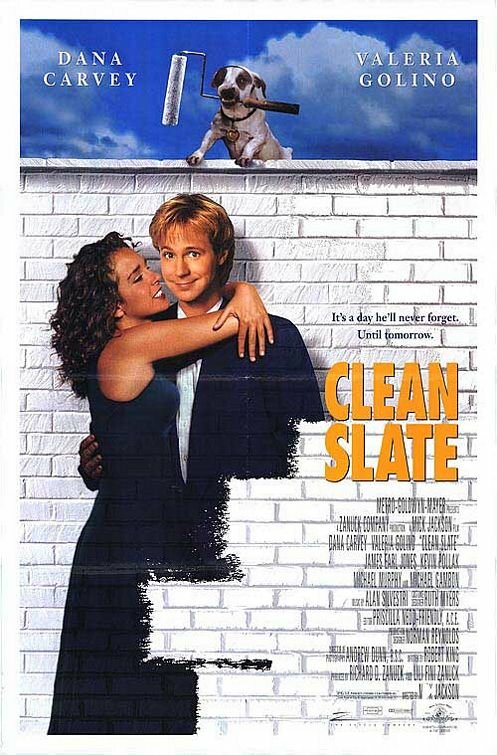Стерлось из памяти / Clean Slate  (1994) HDTVRip