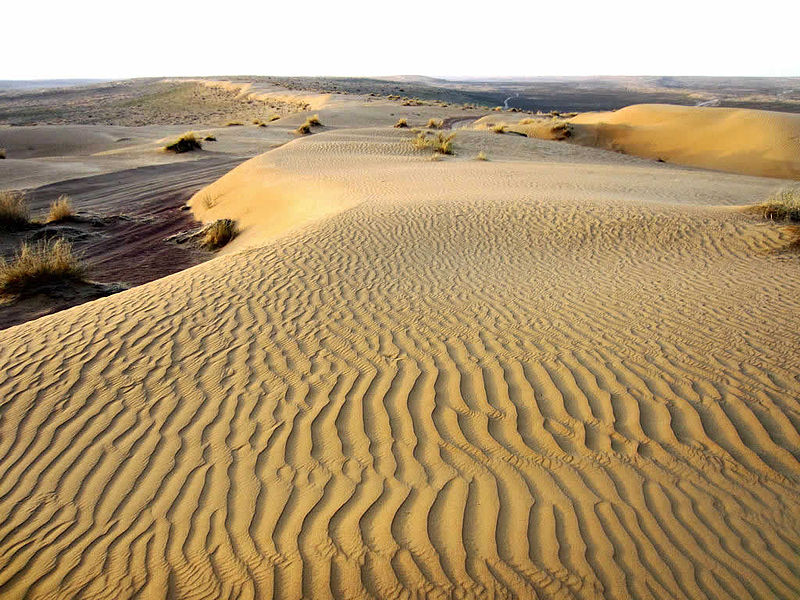 Тайны пустыни Каракум / Secrets du desert de Karakoum  (2004) SATRip