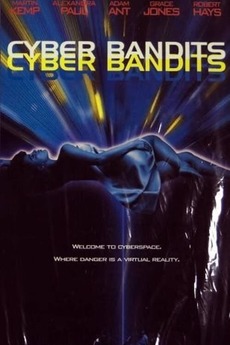 Татуировка / Cyber Bandits  (1995) DVDRip