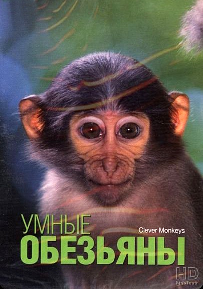 Умные обезьяны / BBC. Clever Monkeys  (2008) HDTVRip 720p / ПО