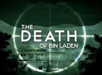 Уничтожить бин Ладена / The Death of Bin Laden  (2011) SATRip