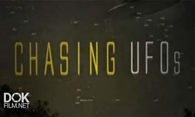 В погоне за НЛО: Маленький пришелец / Chasing UFOs: Alien Baby Farm  (2012) HDTVRip