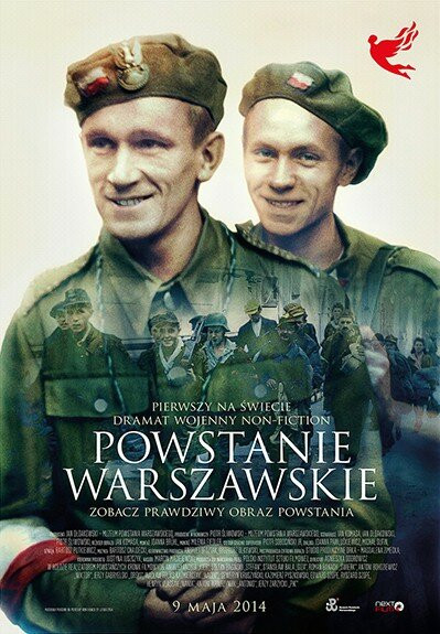 Варшавское восстание / Powstanie Warszawskie  (2014) DVDRip