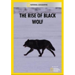 Восхождение черного волка / The Rise of Black Wolf  (2010) SATRip