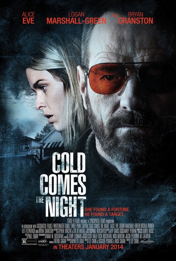 Взгляд зимы / Холодная ночь / Cold Comes the Night  (2013) WEB-DLRip