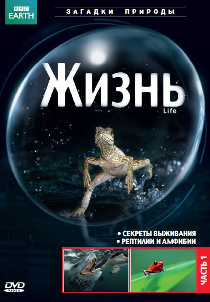 Жизнь / Life [10 из 10] (2009) BDRip-AVC 720p