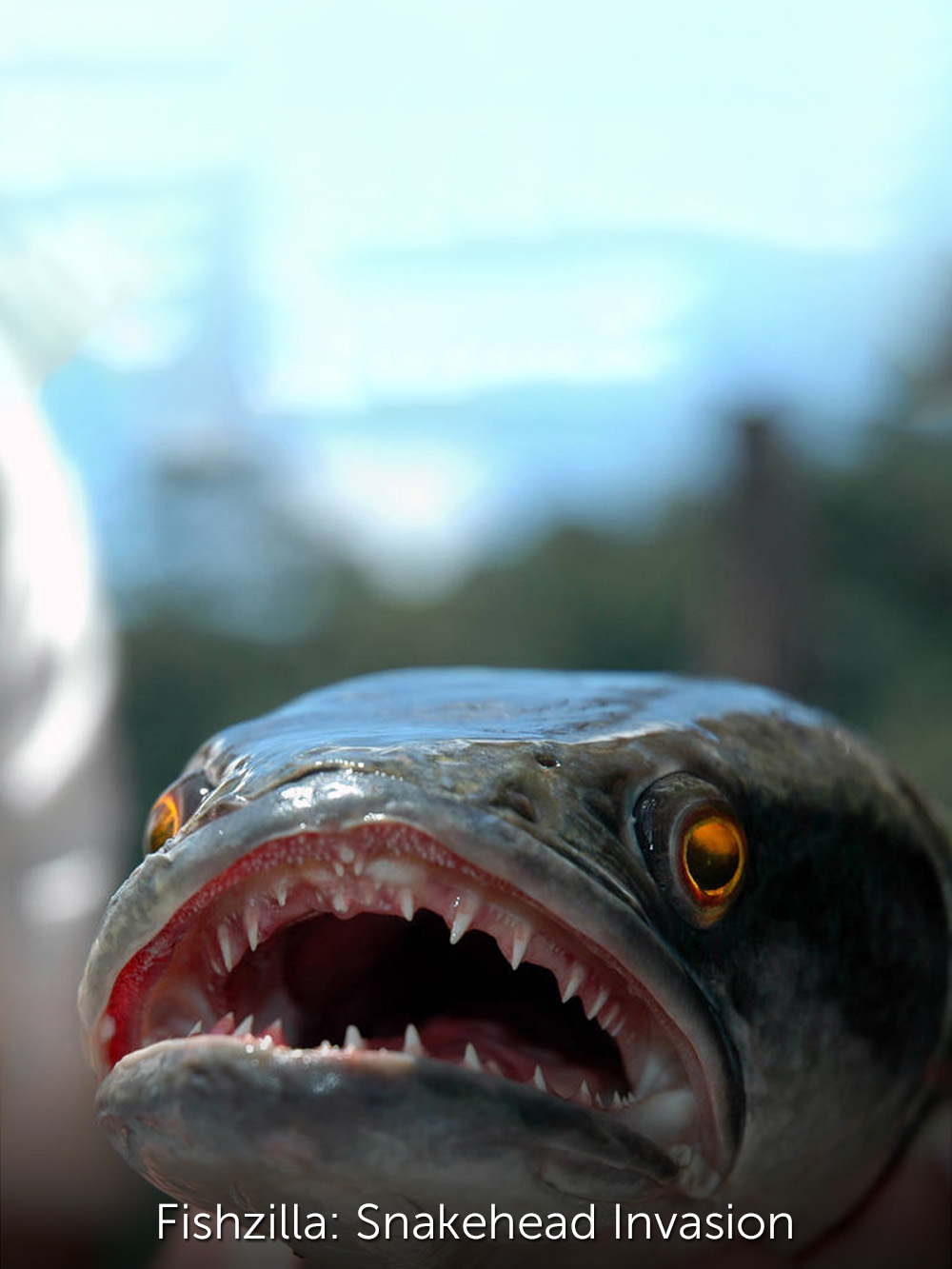 Змееголовый монстр / Fishzilla: Snakehead Invasion  (2008) SATRip