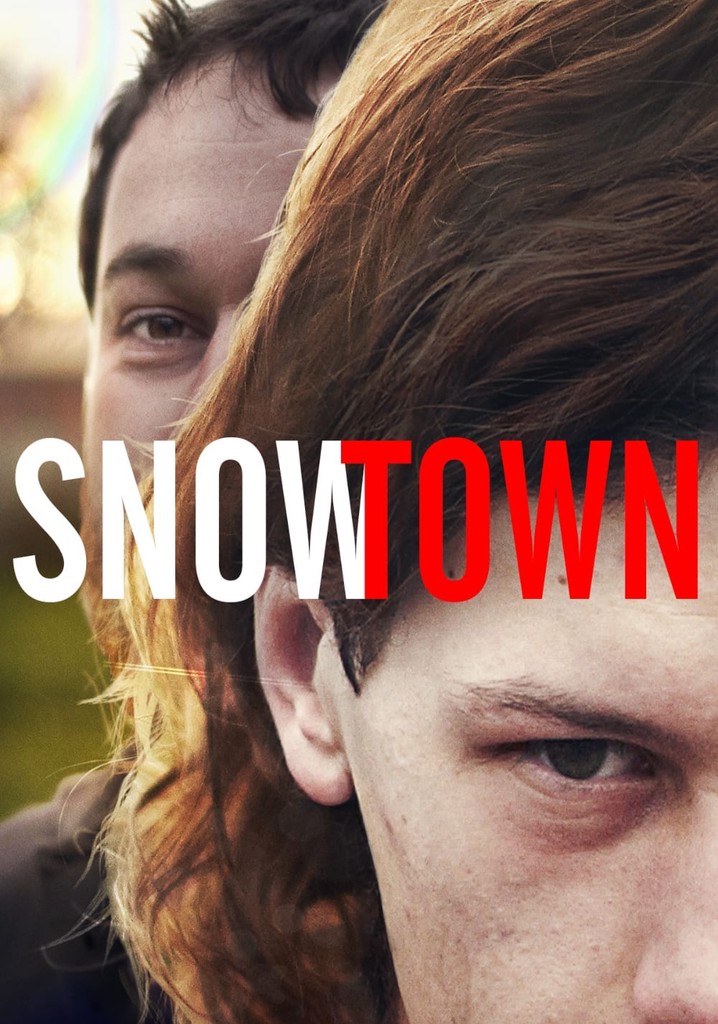 Снежный город / Snowtown  (2011) DVDRip