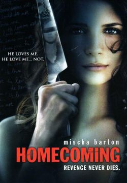 Возвращение домой [01-04 из 04] (2011) DVDRip