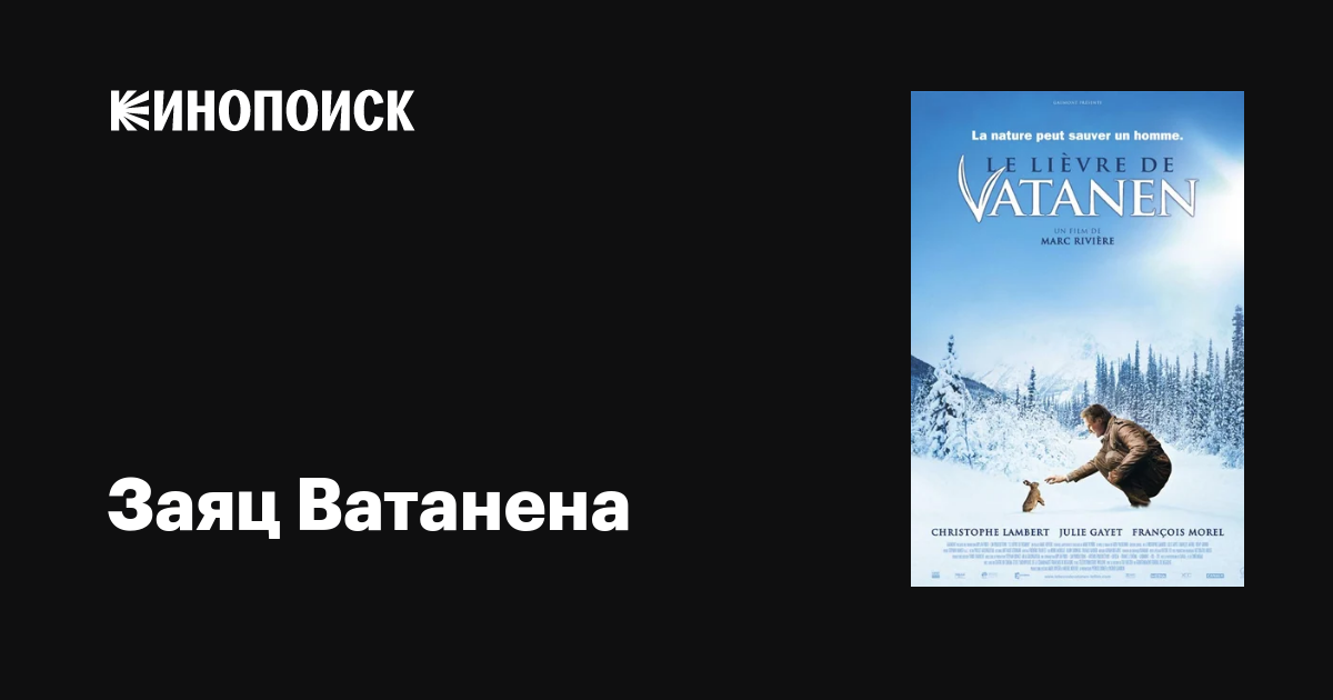 Заяц Ватанена / Le lievre de Vatanen  (2006) DVDRip